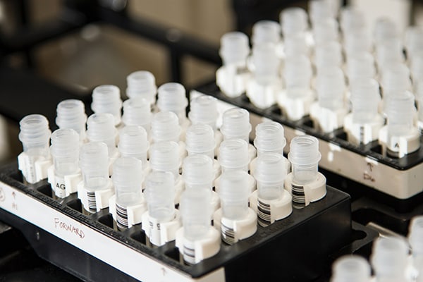 Flera genetiska tester placerade i en behållare för att möjliggöra behandling med precisionsmedicin