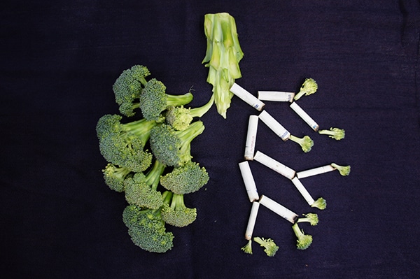 Starka gröna broccoli buketter bildar en fin snabb lunga. Medan cigarettstumpar och vissna broccolibuketter formar den sjuka lungan.